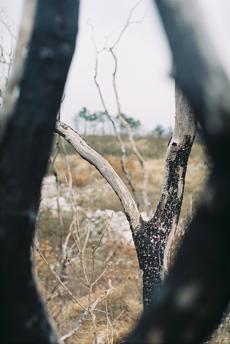 MatjazTrbovc's tweet photo. Photos #ExpiredFilmDay. Just submitted these at https://t.co/iNOrj4DggU... Zenit E - Superia 200 expired 08/2009 https://t.co/OtZ9Bpm9sl