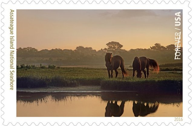 ArkansasOnline's tweet photo. Arkansan's outdoor photography to be featured on forever stamp: https://t.co/y56LUbRmtD #ArkDG #ARnews https://t.co/meI0FNNybo
