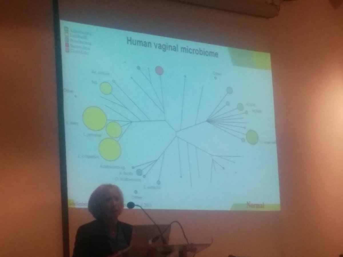 ChrisFRider's tweet photo. Dr Deborah Money @BCWomensHosp on the trees of normal vs bacterial vaginosis #LSIPublicTalks @the_pmi @UBCmedicine https://t.co/HKIkWGki0s