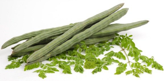 razhakar's tweet photo. Moringa https://t.co/CIE36GYRld
@devindthorpe @lisacurtis @KuliKuliFoods #moringa #superfood #drumstick #miringa https://t.co/IljlFOmwWx