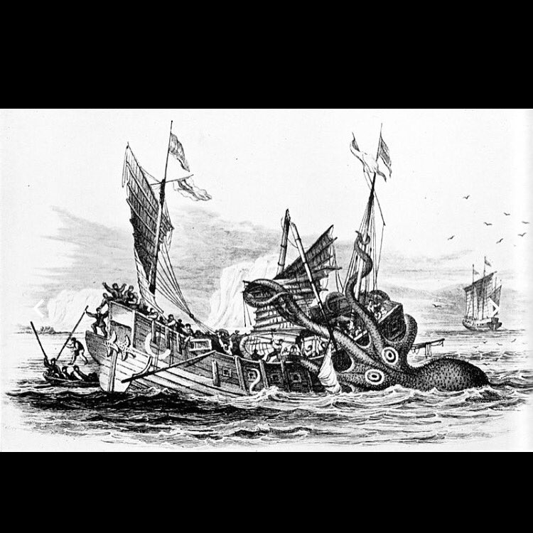 rdepp_'s tweet image. Kraken!