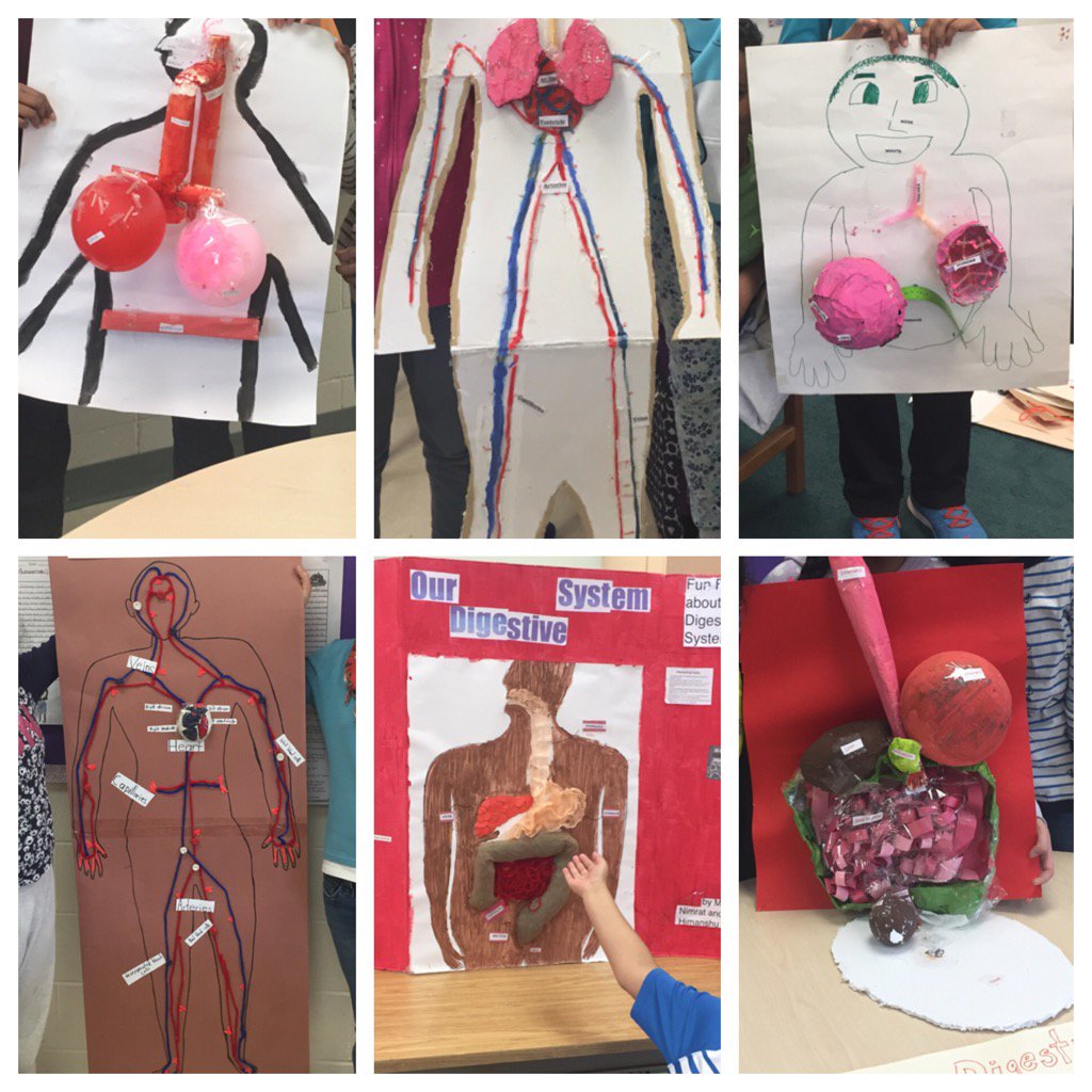 MrsHoving's tweet photo. Students presented their Human Body Systems projects today and they looked great! https://t.co/P6Rdz6O0ZF