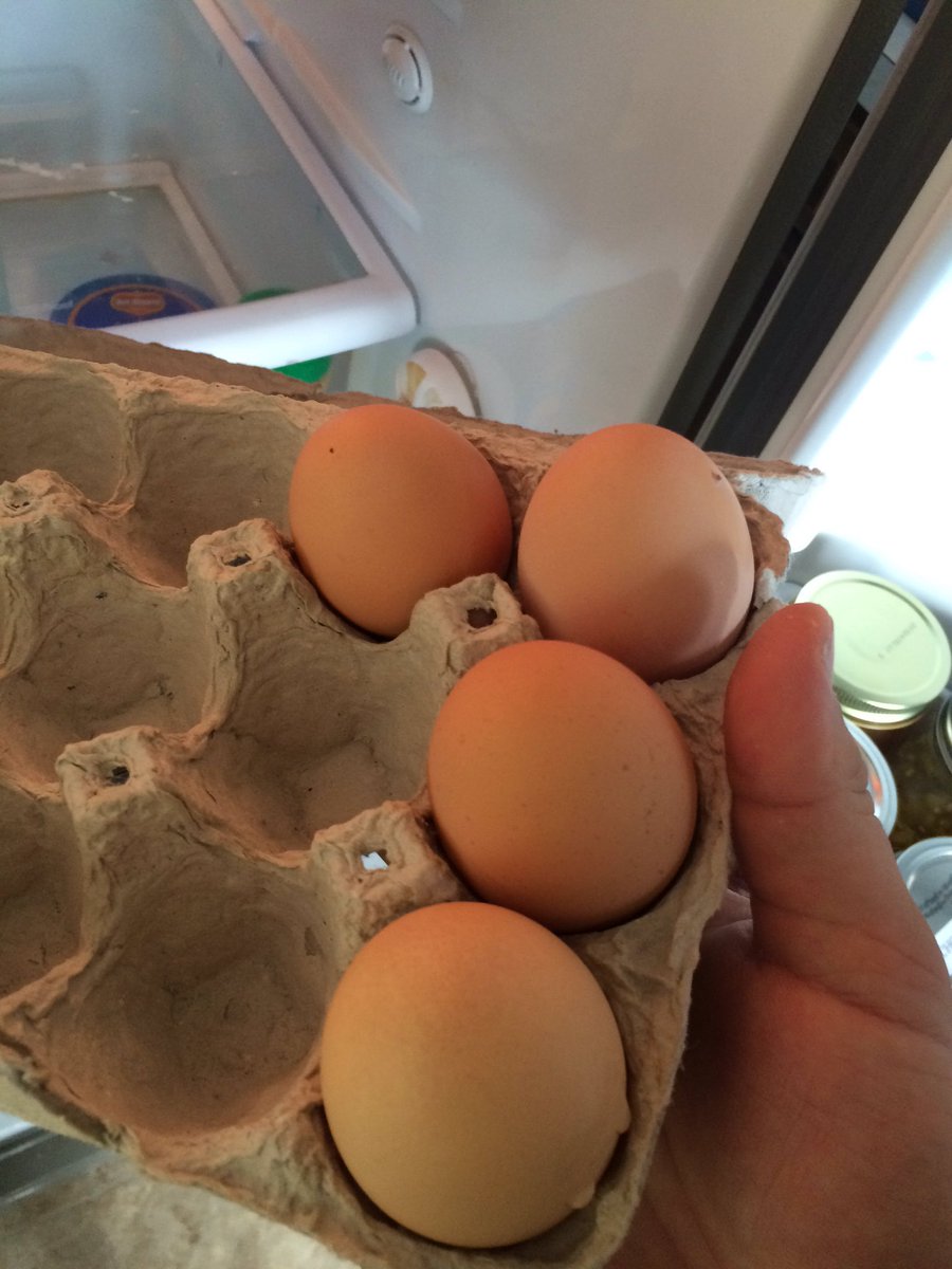 JaceCussins's tweet photo. They are still laying #wyobirds2016 https://t.co/joctuQ2M4U