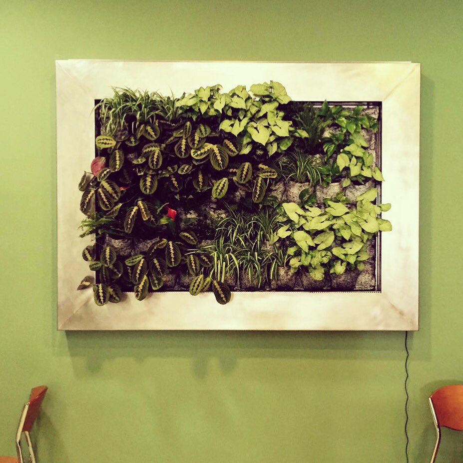 sanantoniorota's tweet photo. Apostando x lo natural!
CUADRO VEGETAL
Gracias INDOOR GARDEN SERVICE!!, T 667 48 52 92
@ElBucarito @sanantonio_rota https://t.co/Dj3fPYE6aZ