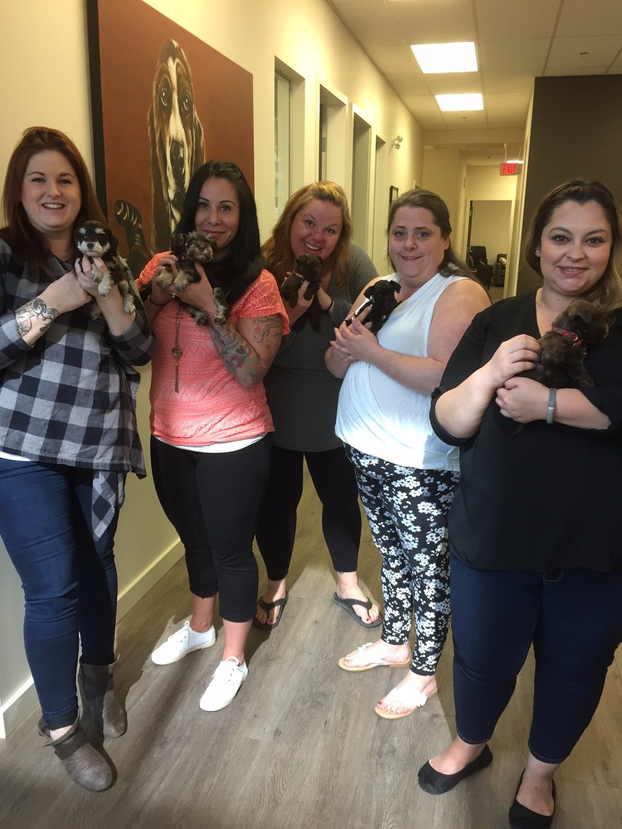 BEST DAY! We love when puppies come to visit... but when FIVE PUPPIES come to visit we are over the moon! #panpet