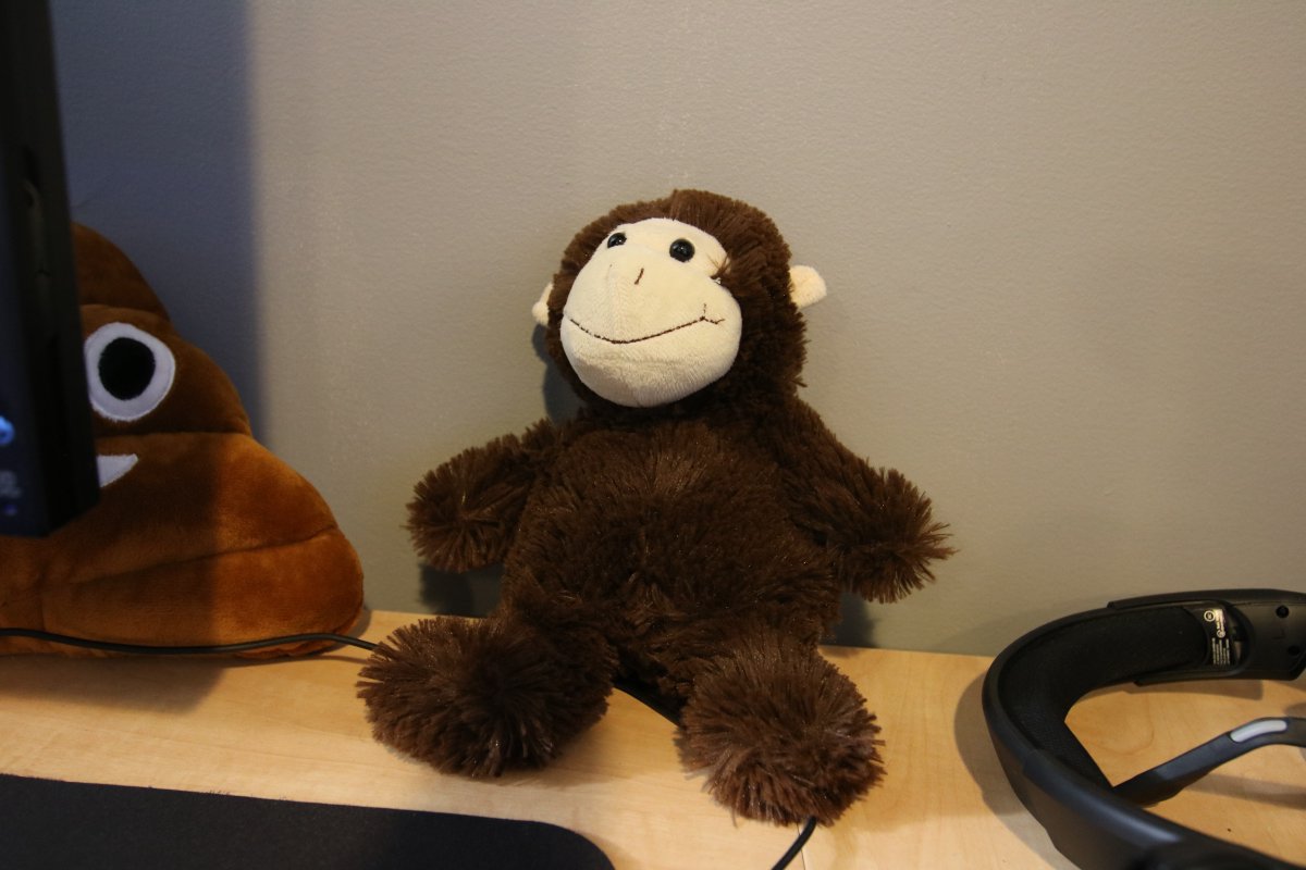 FaZe_Rain's tweet photo. Fuck this monkey https://t.co/UpSQRlSVOn