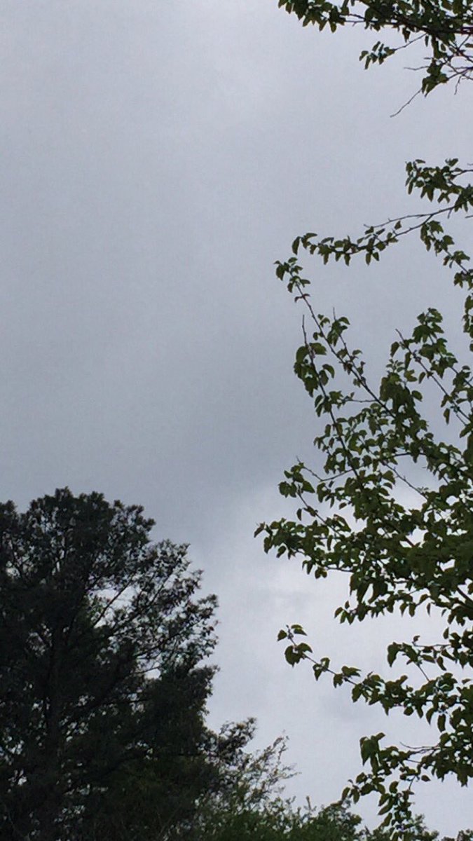 smilelockscreen's tweet image. Nature lockscreens