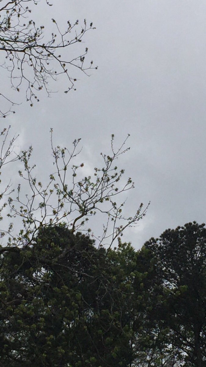 smilelockscreen's tweet image. Nature lockscreens