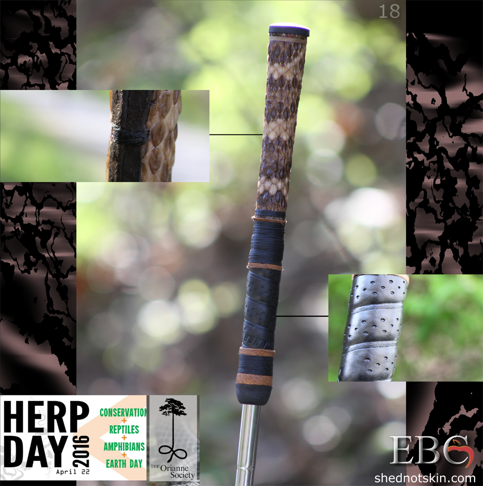 OrianneSociety's tweet photo. We have new fundraisers today! Join as fundraiser for chance to win @edenbiocreation hook! https://t.co/voPe1VMDOz https://t.co/DmwStfoI94