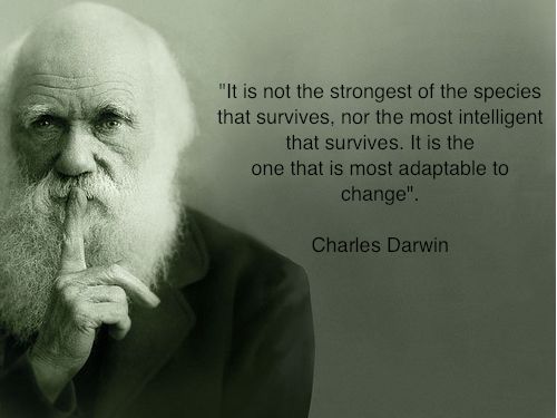 AlanFrye's tweet image. It is not the strongest of the species that survive #APIcentric World #APIs ow.ly/QD4rg @Benefitfocus