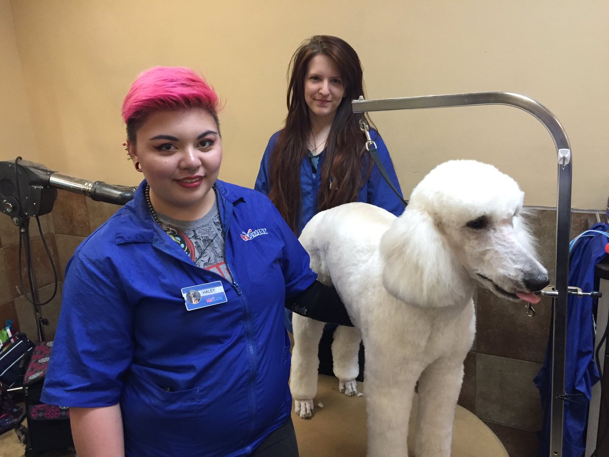 brittanyamoon's tweet photo. My academy students are pretty awesome!! #onlyweek2 #DATsrock #standout @PetSmart_DaveK @KurtD_Salons https://t.co/Mq1Rh5SUf1