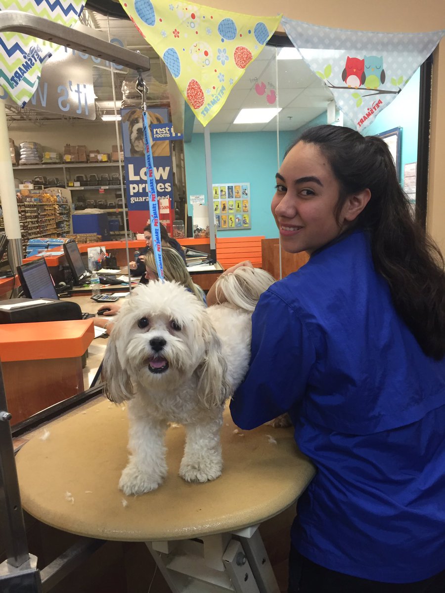 brittanyamoon's tweet photo. Week 2: these ladies ROCK!! #academystudentsrock #standout #DATsrock @KurtD_Salons @PetSmart_DaveK https://t.co/EExmqBzM3K