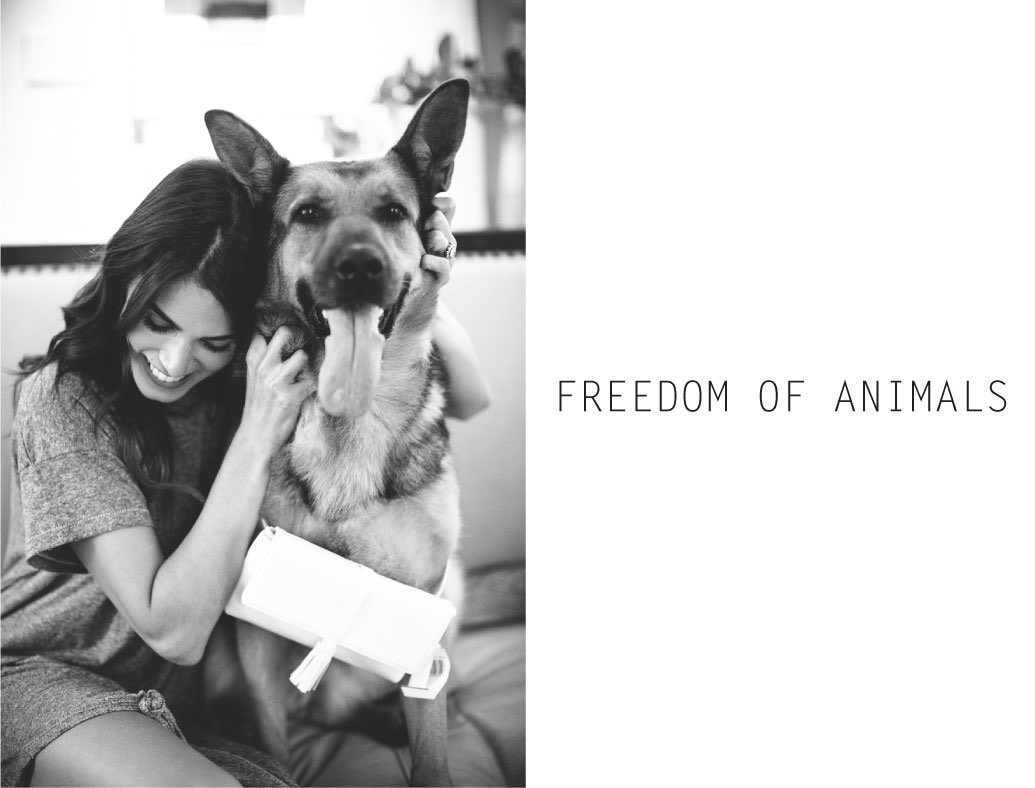 NikkiReed_I_Am's tweet photo. Oh I love my girl! And she loves the belt bag :) Recycle.Reuse.Repurpose.
https://t.co/xF4ghbYvQH @foa_bags https://t.co/TXb7WJ4w0u