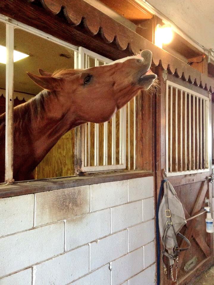 PrecisionEM's tweet image. Expressing her feelings towards this snow in April! Stay warm &amp;amp; think spring🌷☀️ #PEM #onlinemarketing #smallbusiness