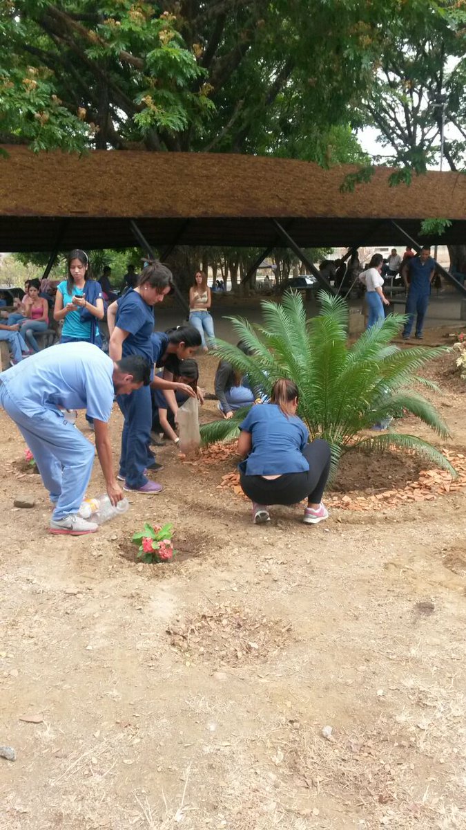 unergprensa1's tweet photo. Estudiantes 2do año de Odontología #Unerg sembraron plantas xerófilas para rehabilitar los jardines del área https://t.co/x42oJB0k2z