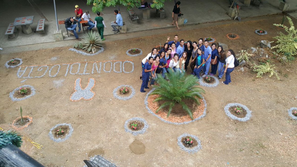 unergprensa1's tweet photo. Estudiantes 2do año de Odontología #Unerg sembraron plantas xerófilas para rehabilitar los jardines del área https://t.co/x42oJB0k2z