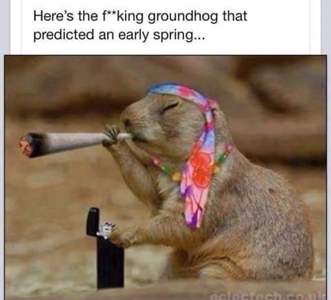 ifylold's tweet image. 