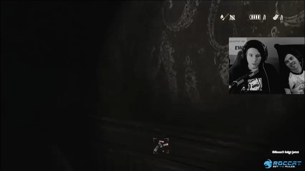 Yukiboy1337's tweet photo. @unge @ZanderLP @GamersTimeTV #Ungestreamt 

Zander war mehr Horror als das game 😂😂 #CreepyZander https://t.co/J5dPwvu9SX