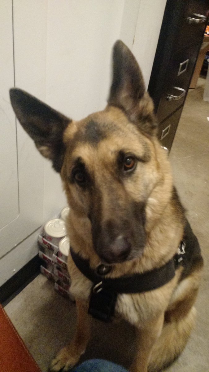 Dad when do we go home?! <a href="/KrisersPets/">Kriser's Natural Pet</a> busy busy day dad!