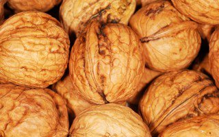 willyKCCO's tweet photo. Handful of nuts anyone? #MunchiesmadnessSyracuse https://t.co/mrvZFaoQf3