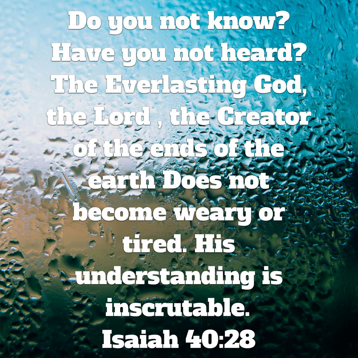 lydiayoder2's tweet image. bible.com/100/isa.40.28.…