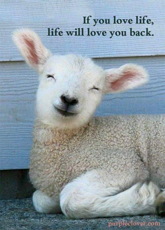 madamesque_mag's tweet photo. If you love life, life will love you back.
#Lovelife #Bepositive #Positivemind https://t.co/ZkZkauqpqE