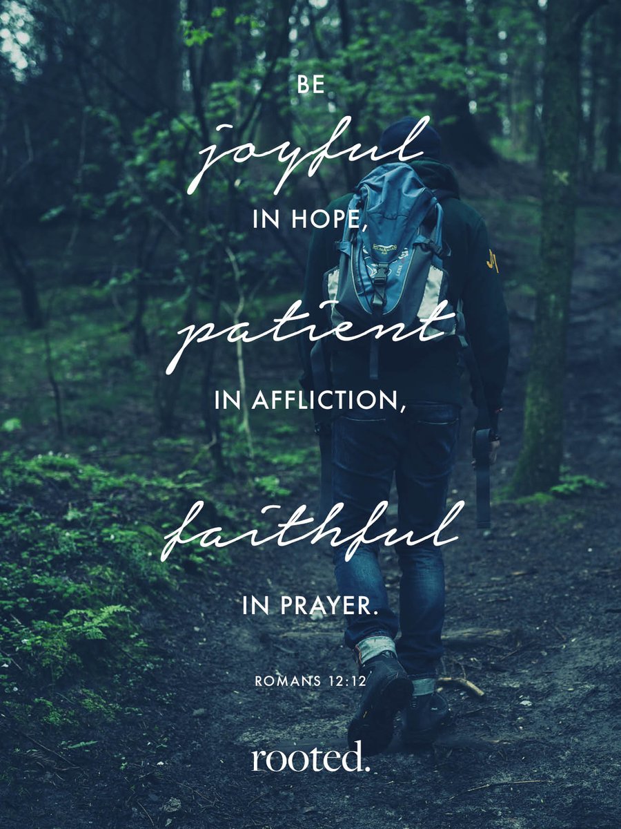 centralchurched's tweet image. 'Be joyful in hope, patient in affliction, faithful in prayer' 
Today's #rooted reading 
rooted.org.uk