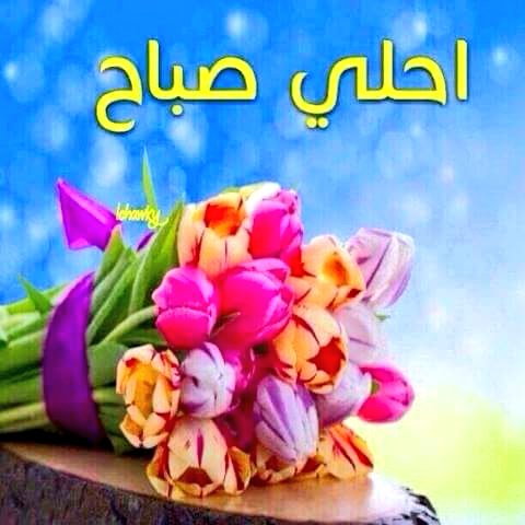 RAMIALIRS's tweet image. 