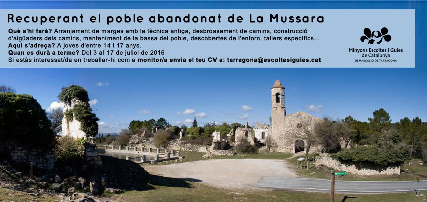 MEG Tarragona tweet media