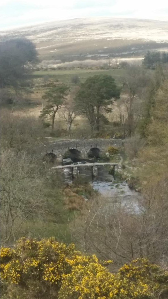 vogelphilipc's tweet photo. Recently @dartmoornpa #GutterTor #standingstones via @FoxTorCafe to #Postbridge & #Bellever #Dartmoor at its best. https://t.co/MPnpFnlcYa