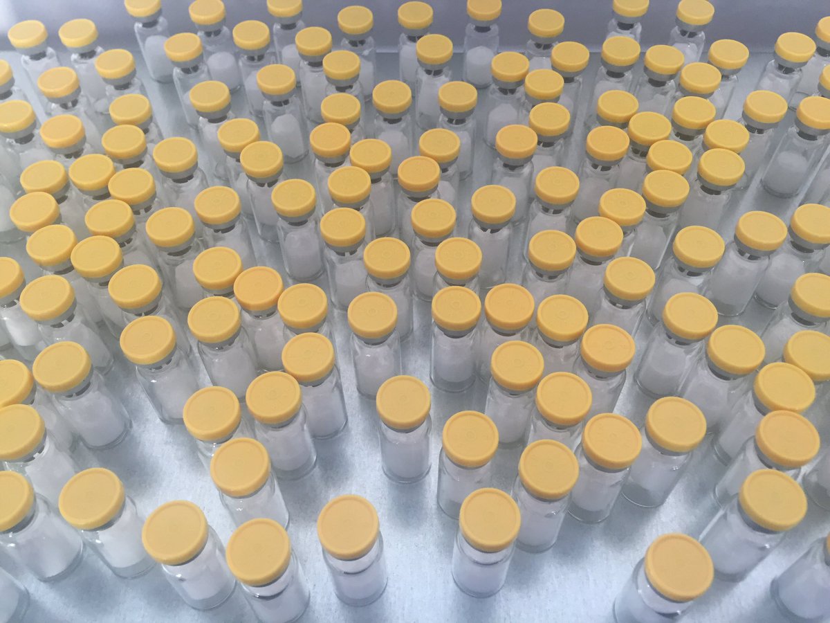 LabPeptides's tweet image. These beauties await their labels, and then they will be winging their way to new homes across the world 🚚 ✈️ 👌