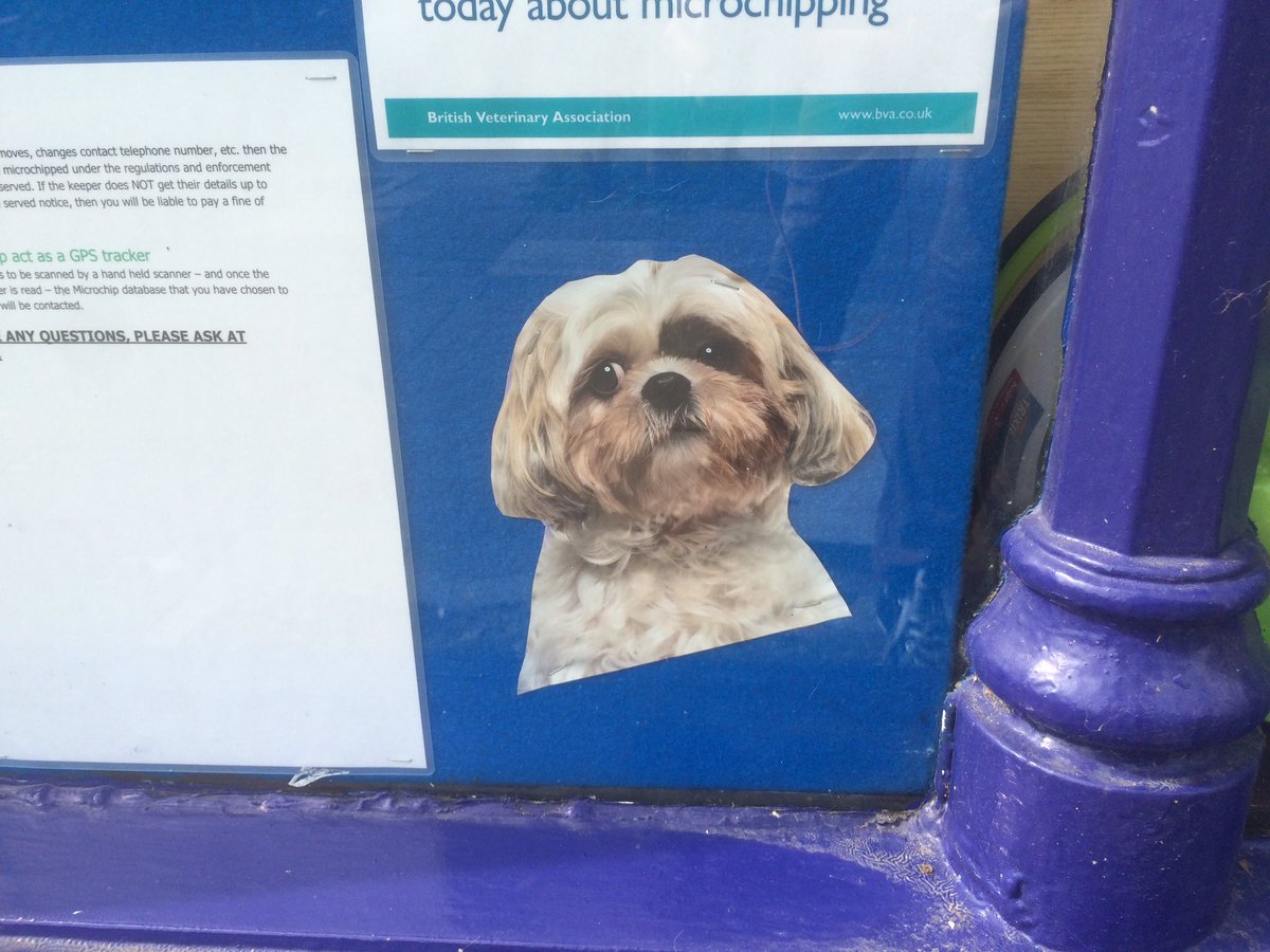 hellomrbones's tweet photo. Nothing contemplates existence more than a cut out of a dog in a shop window https://t.co/Rq1dTvYYqi