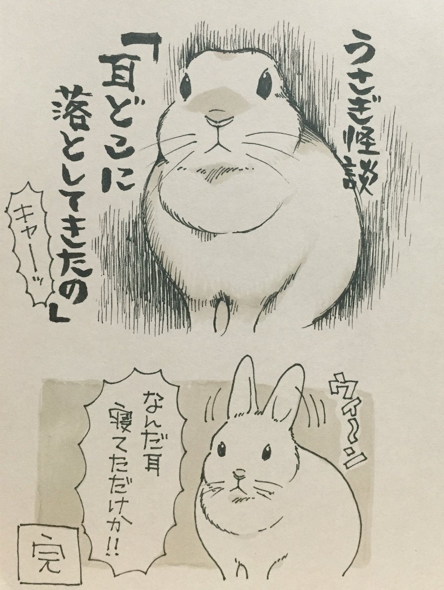 ichthy0stega's tweet photo. うさぎ怪談 #うさぎあるある https://t.co/feel8MGYEN
