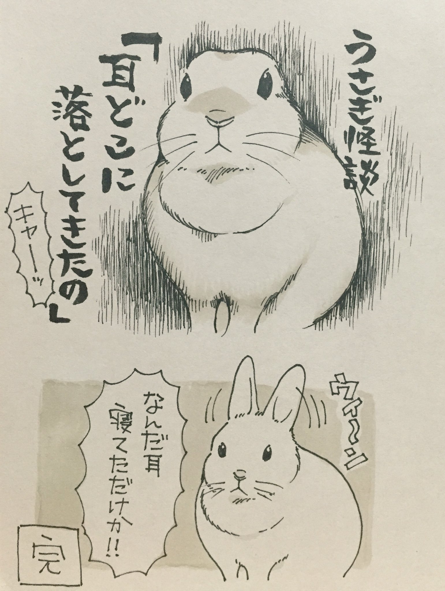 井口病院 Na Twitteru うさぎ怪談 うさぎあるある T Co Feel8mgyen Twitter