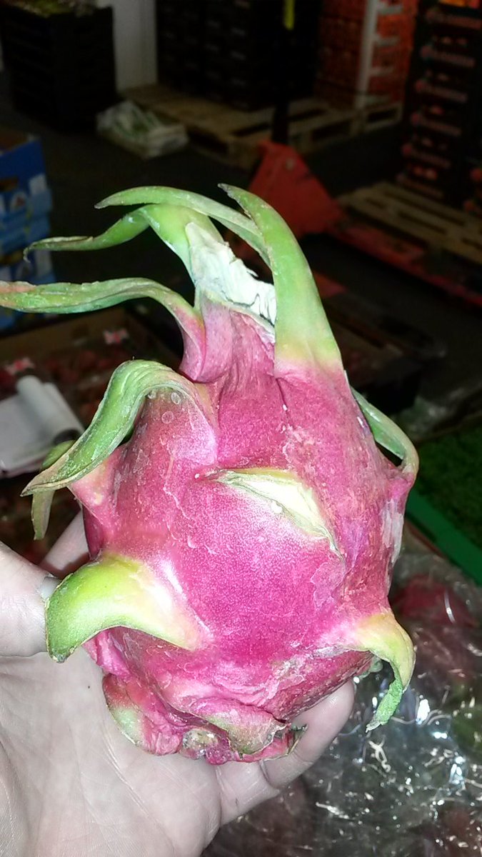 DoleWolves's tweet image. Wife fruit @TotalPWolves this morning