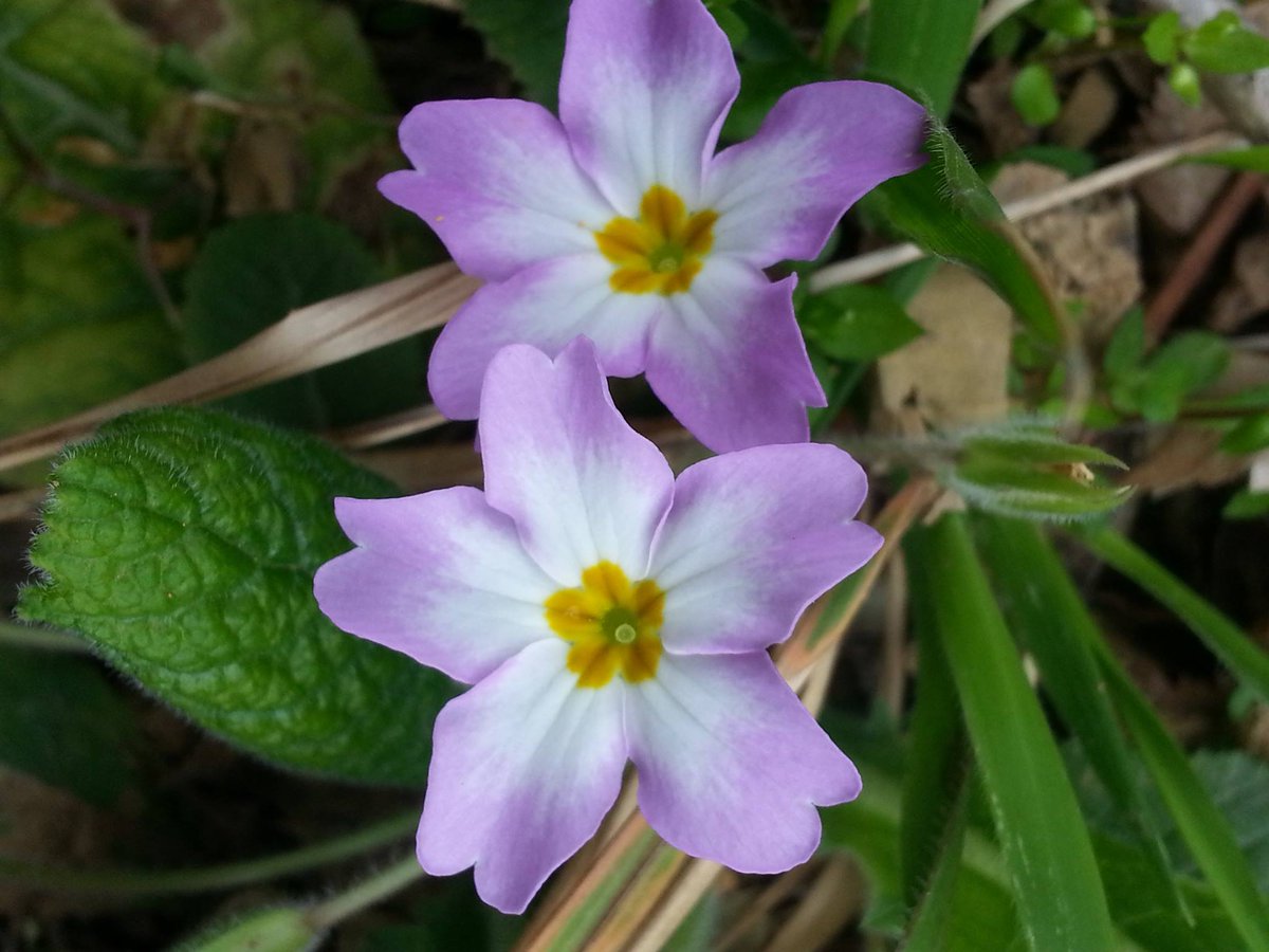 Hayatı güzel yaşamak istiyorsan, baktığın göz ve duyguları değiştirmen yeterlidir..