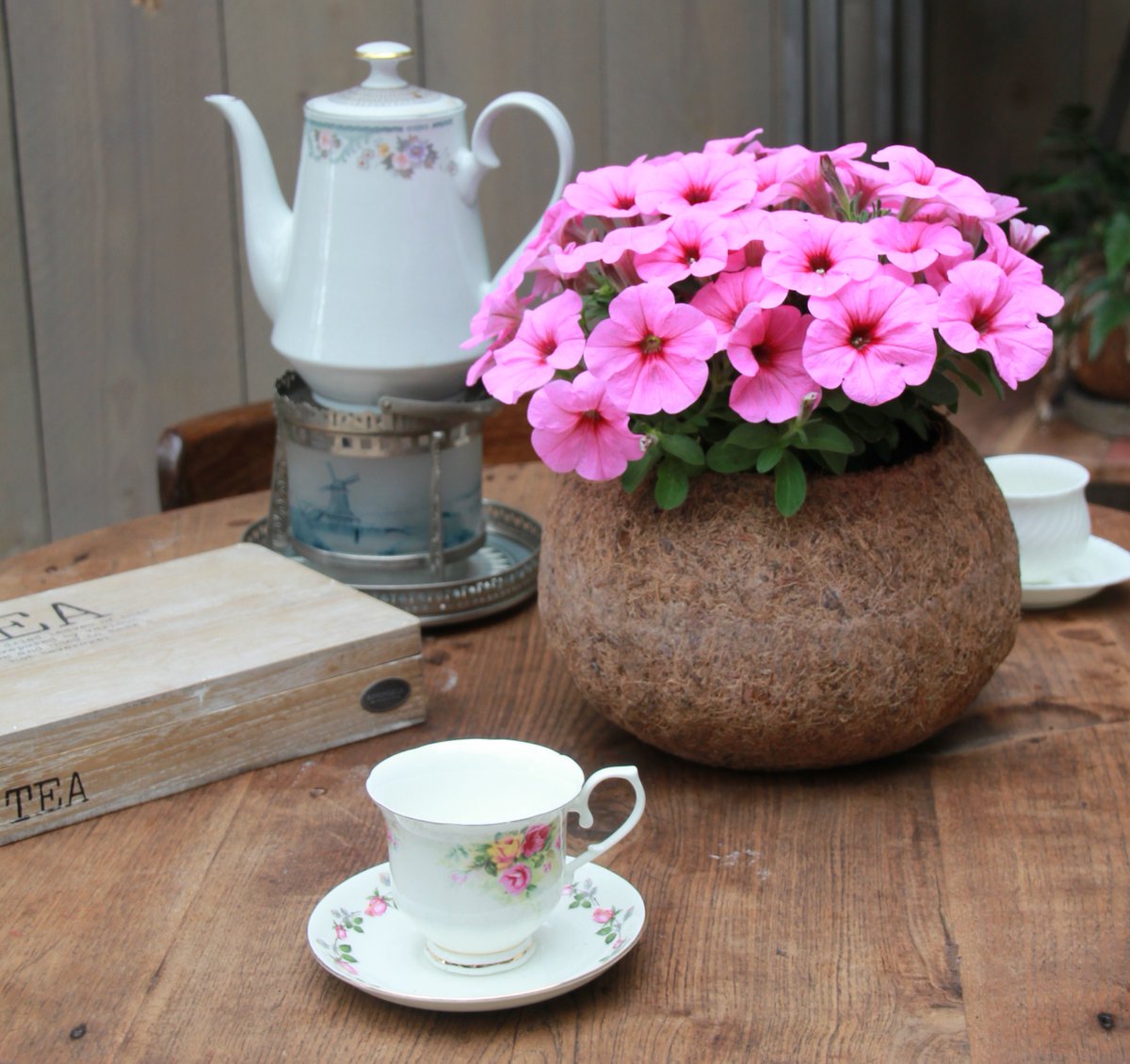 Je kunt nog tot 14:00 uur langskomen op de Spring Fair in Aalsmeer om ons perkgoed assortiment te bekijken. Tot zo!