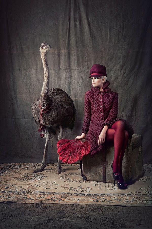 Beautiful #fashion all with #Ostrich Products.