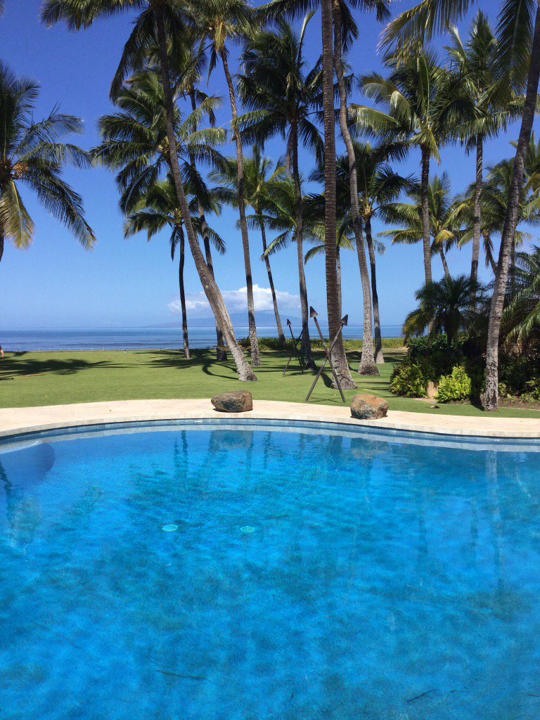 ARWinterstaar's tweet photo. #DearReader, could you resist such a playground? https://t.co/d6z1f39F21