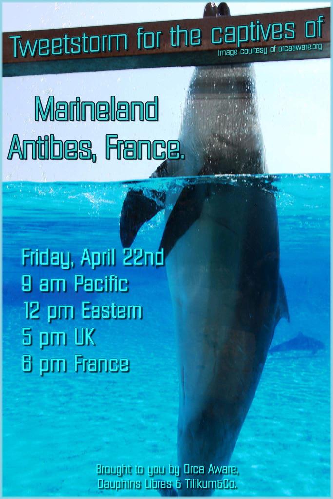 OrcaSOS's tweet photo. ⚡ Tweet storm ⚡
for the captives of
#Marineland #Antibes
#EarthDay Apr 22

https://t.co/M8YfqeGXBL
#Blackfish #EndCAP
#EmptyTheTanks