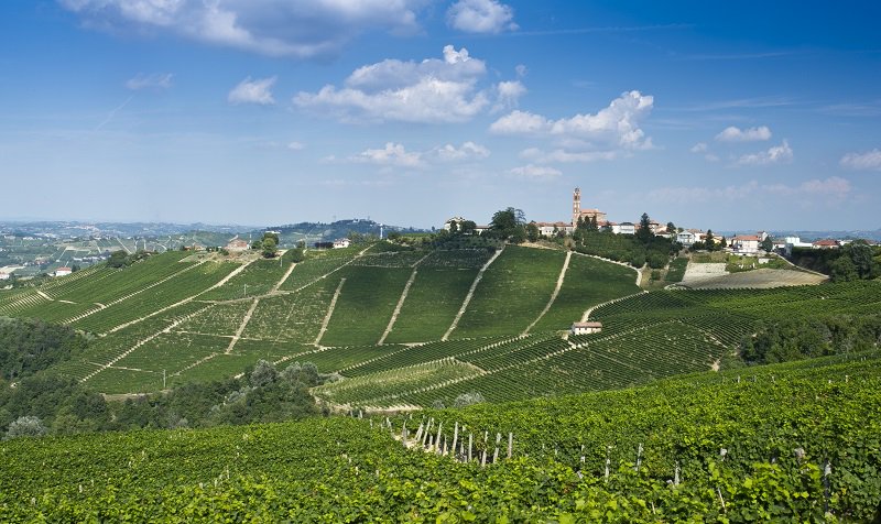 visitLMR's tweet photo. #fermando lo #sguardo sulle nostre colline. Il resto non conta #Langhe #Roero https://t.co/akpN5c0ycG