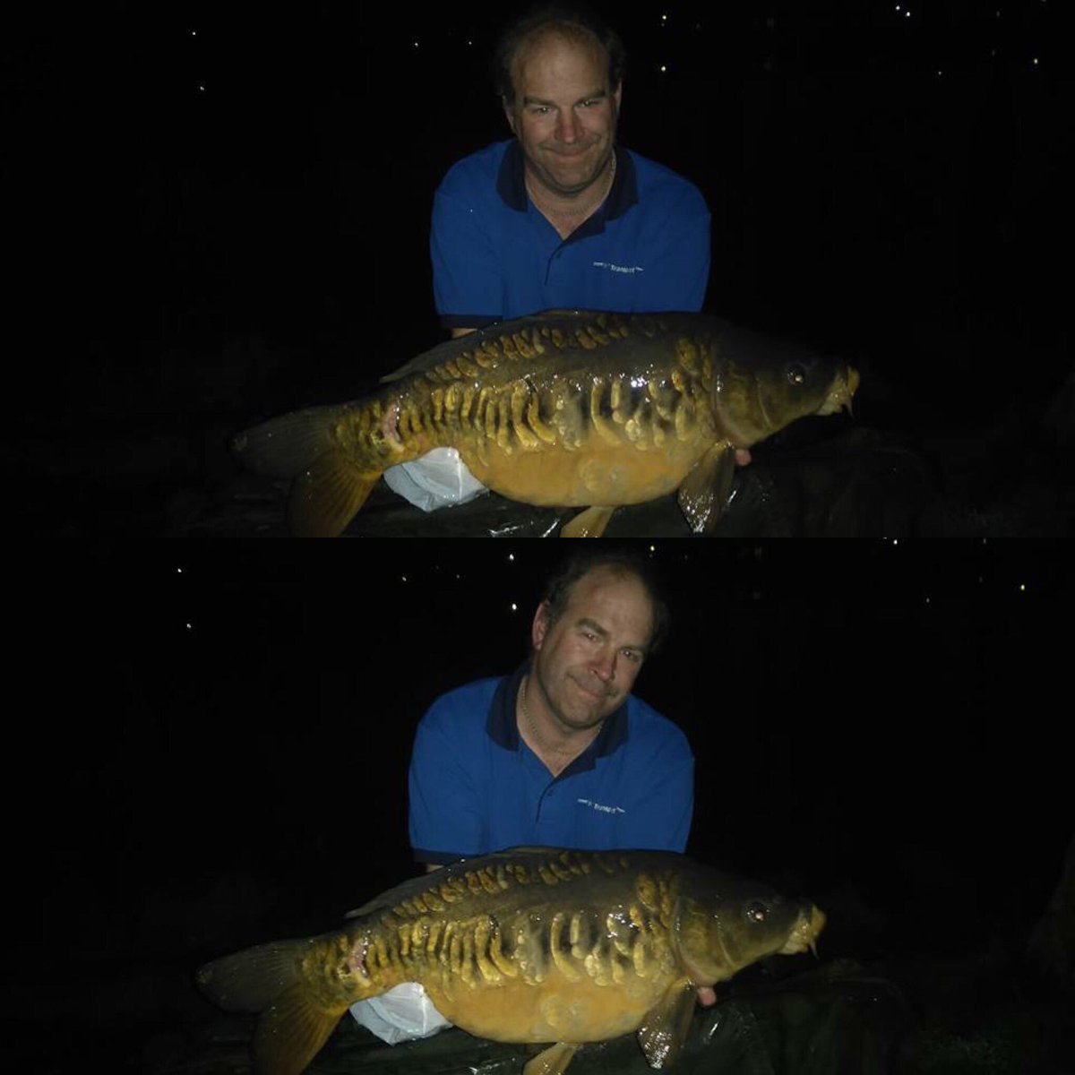 FusionBaits's tweet photo. @FusionBaits https://t.co/ZZxRLYE6Tz
