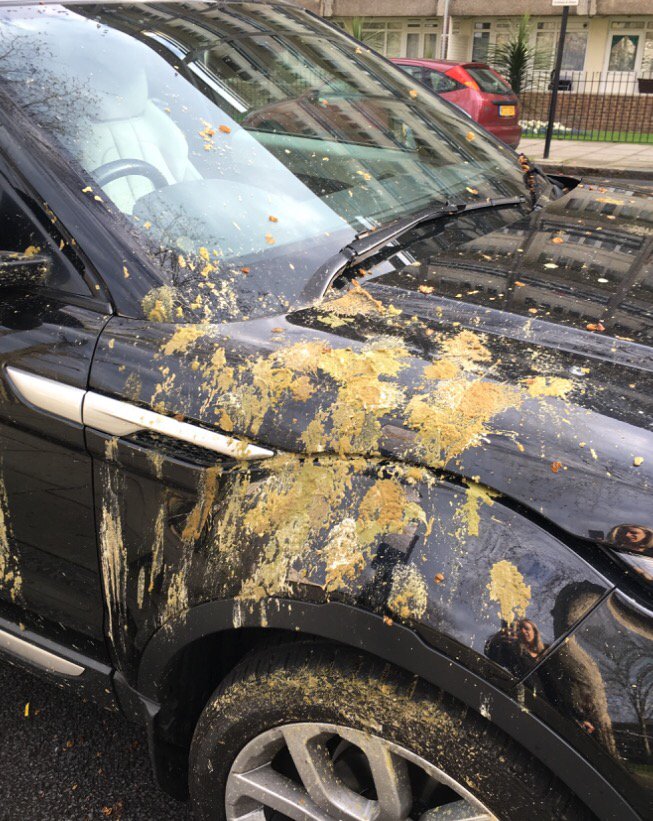 LaraLewington's tweet photo. Does tweeting mean the birds can hear? If so, "my car is not a public convenience, thank you". https://t.co/22wcTRhfAB