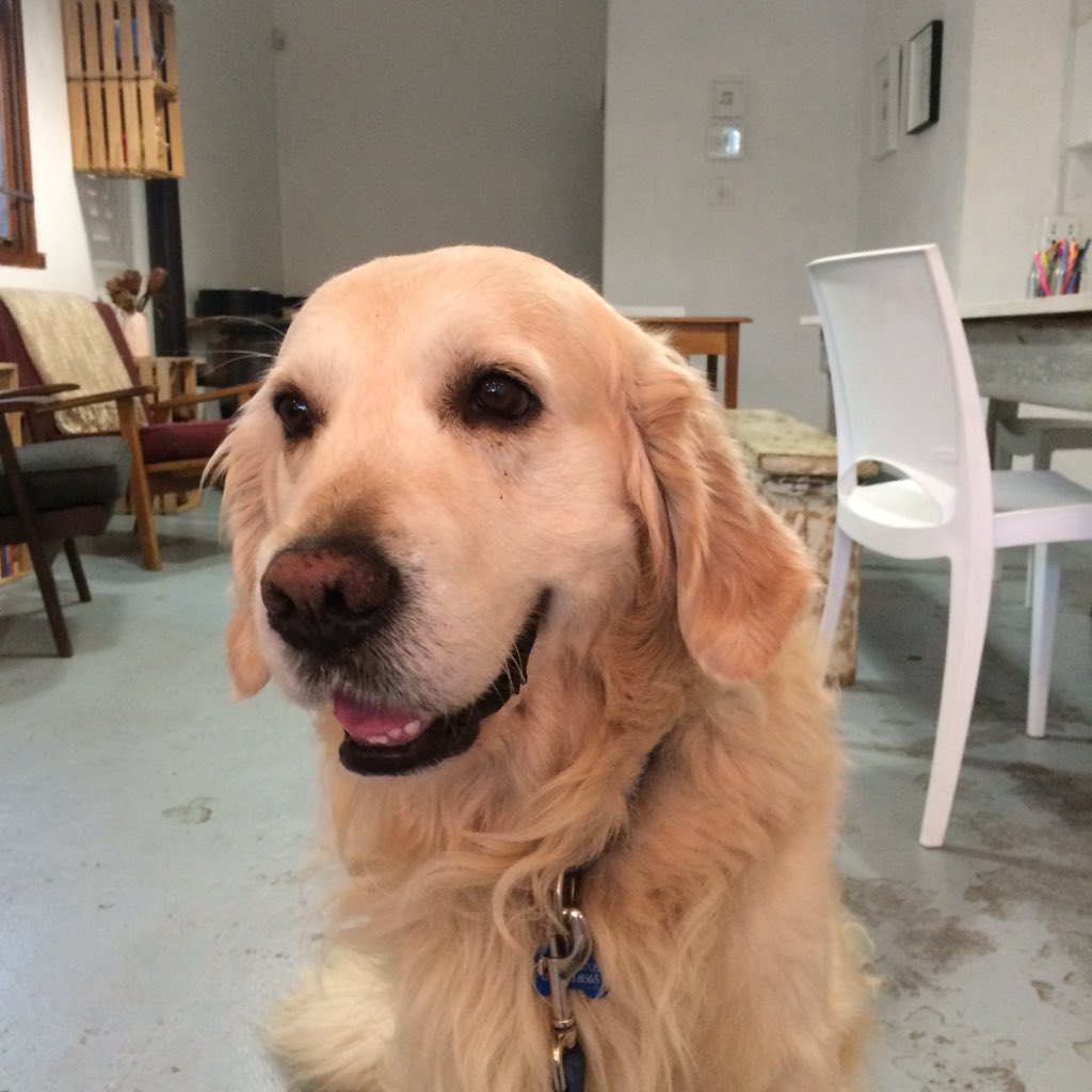 At our favorite cafe for the opening of Life as a Cafe! <a href="/drawingroomcafe/">The Drawing Room Café</a>