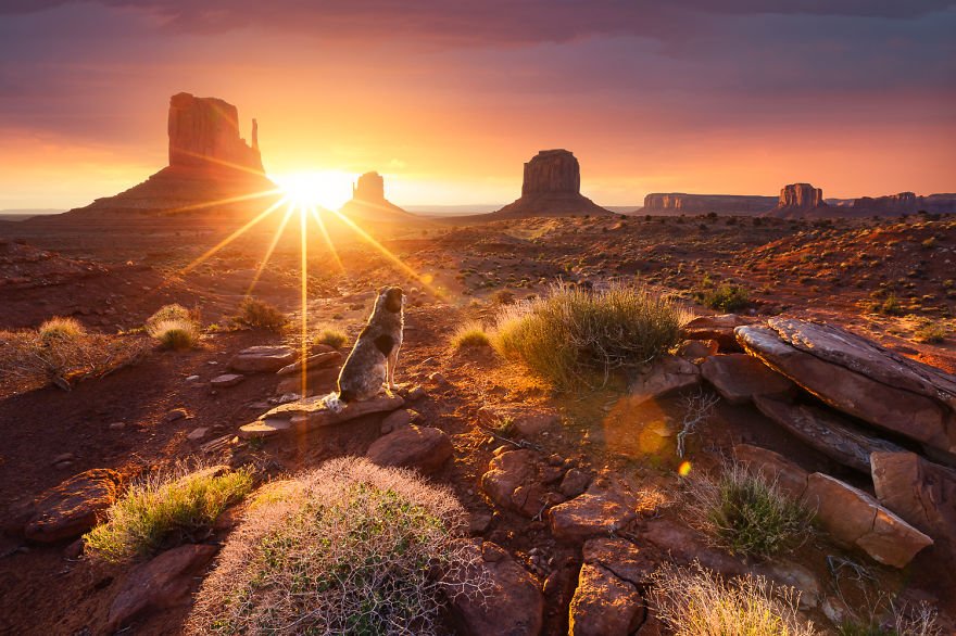 Wow! Fotograaf reist 3 jaar wereld rond om de zonsondergang vast te leggen. Zie: bit.ly/1RVnRg3