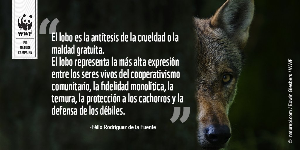 WWF España ? on Twitter: 