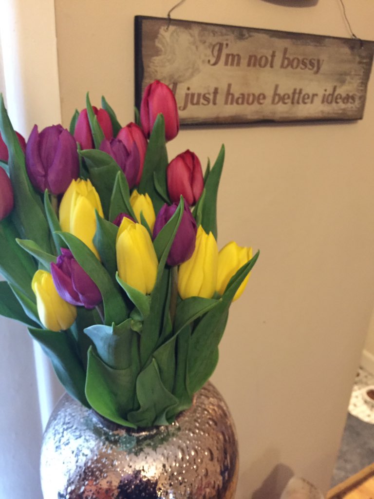 _TheCourtyard's tweet photo. #Happy Monday to you all!! #loving life https://t.co/kgOzxCxqSN