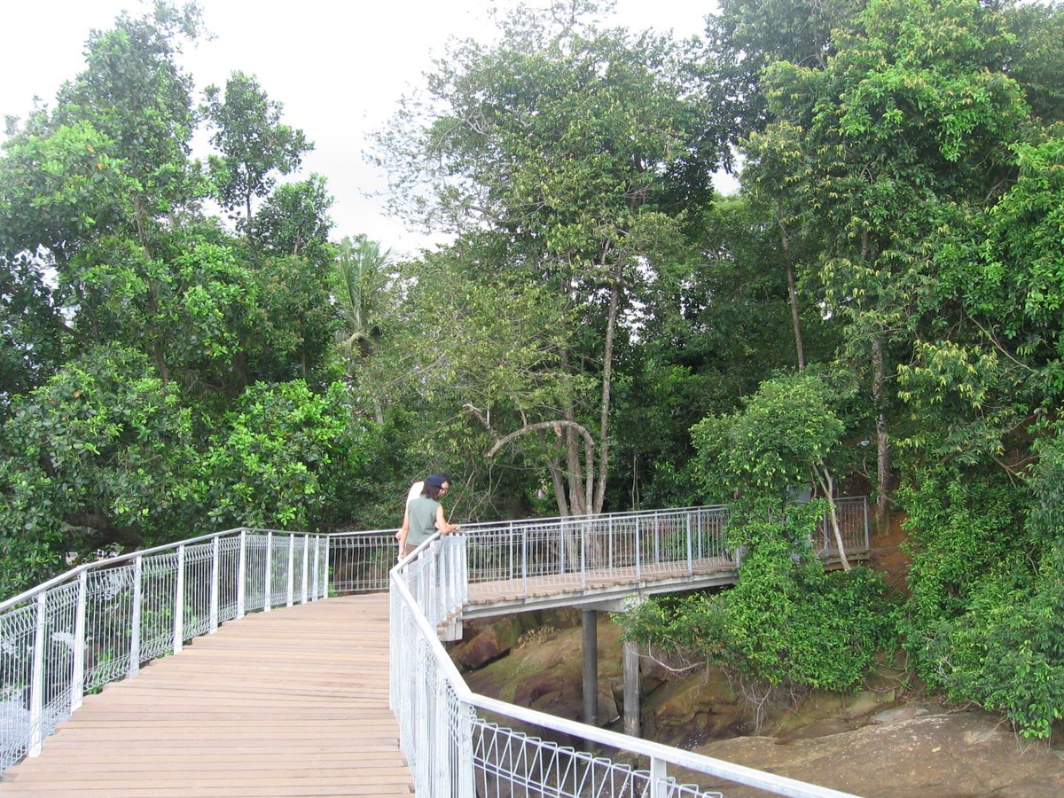 theplothostels's tweet photo. A great place for #nature in #Singapore, #PulauUbin is home to the interesting #ChekJawaWetlands. #SGTravel #Travel https://t.co/xLBCsXOmjg
