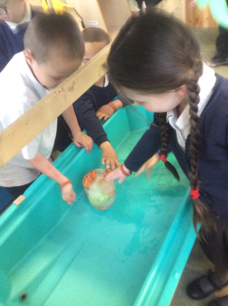 HGSchools's tweet photo. The Evil Pea strikes again! RND/RMJ came in to find frozen carrots. We need to investigate the mystery. https://t.co/kpMuOLYB9I