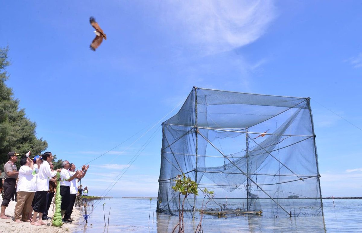 Ada 2 hal yg diwariskan ke anak cucu kita: ilmu pengetahuan &amp; kelestarian alam. Banyak belajar dan cintai alam -Jkw